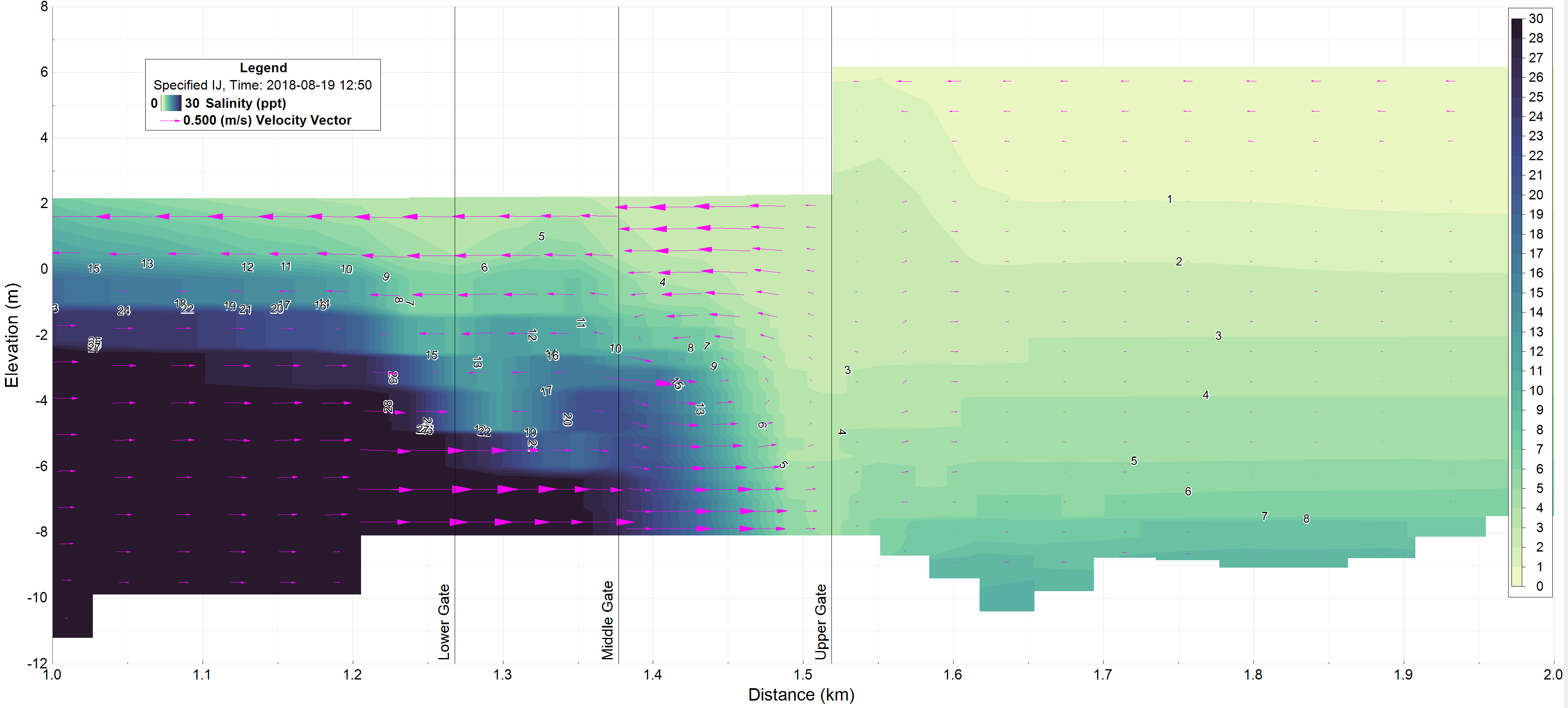 Figure 5. Vertical cross-section of salinity and velocity through the Ballard Locks.