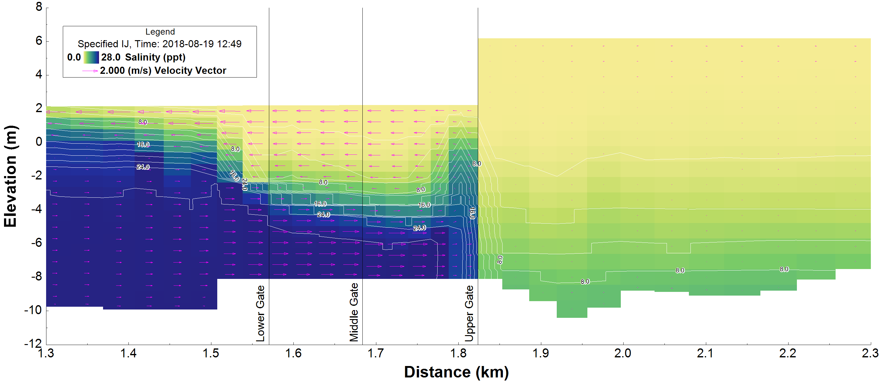 Figure 9. Vertical cross-section of salinity and velocity through the Ballard Locks