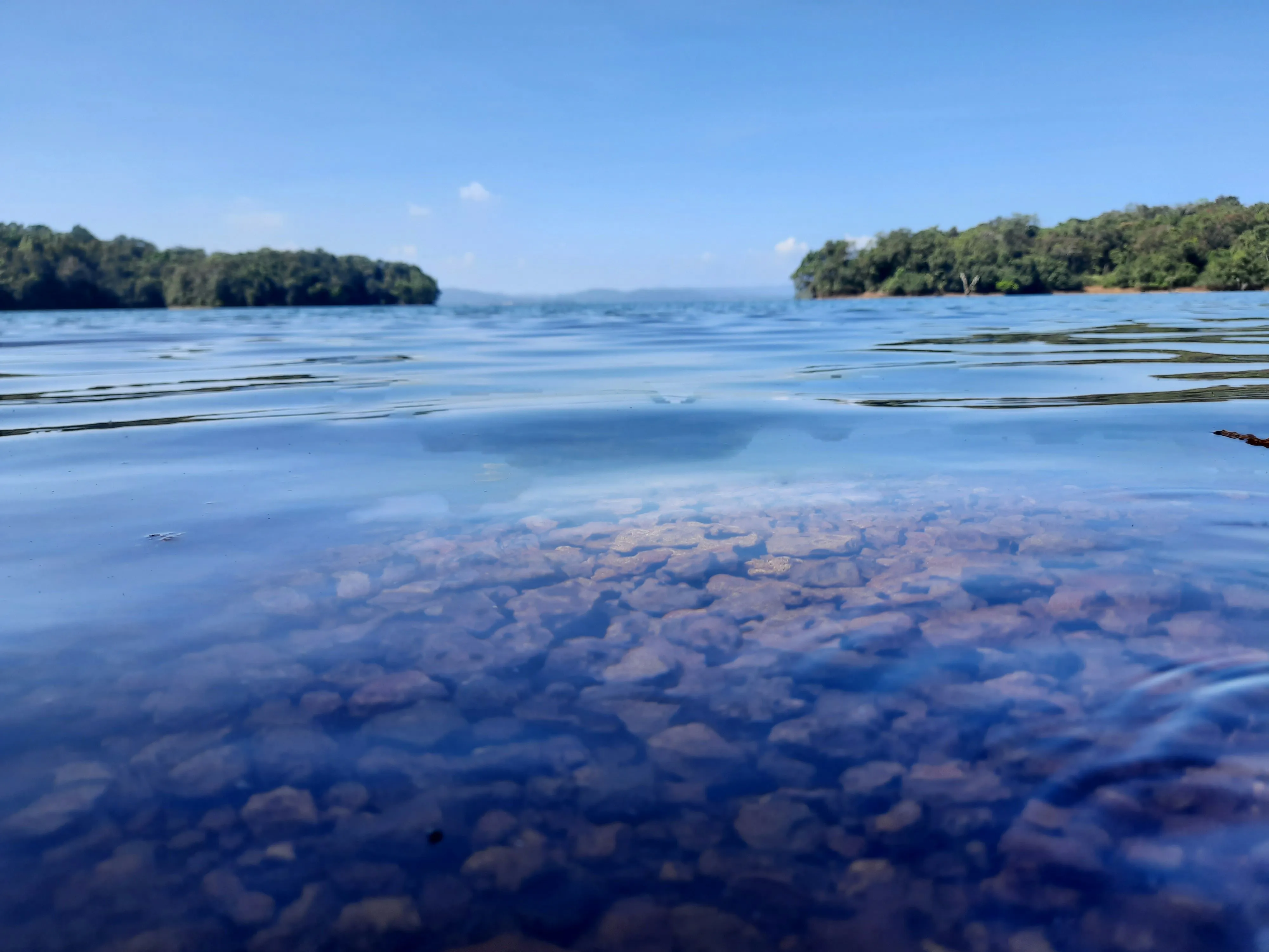 Integrating Multi-Source Spatial and Temporal Data for the Calibration and Sensitivity Analysis of a Water Quality Model in Lake Mendota