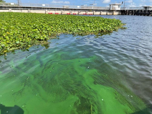Figure 1. Franklin lock on the Caloosahatchee River