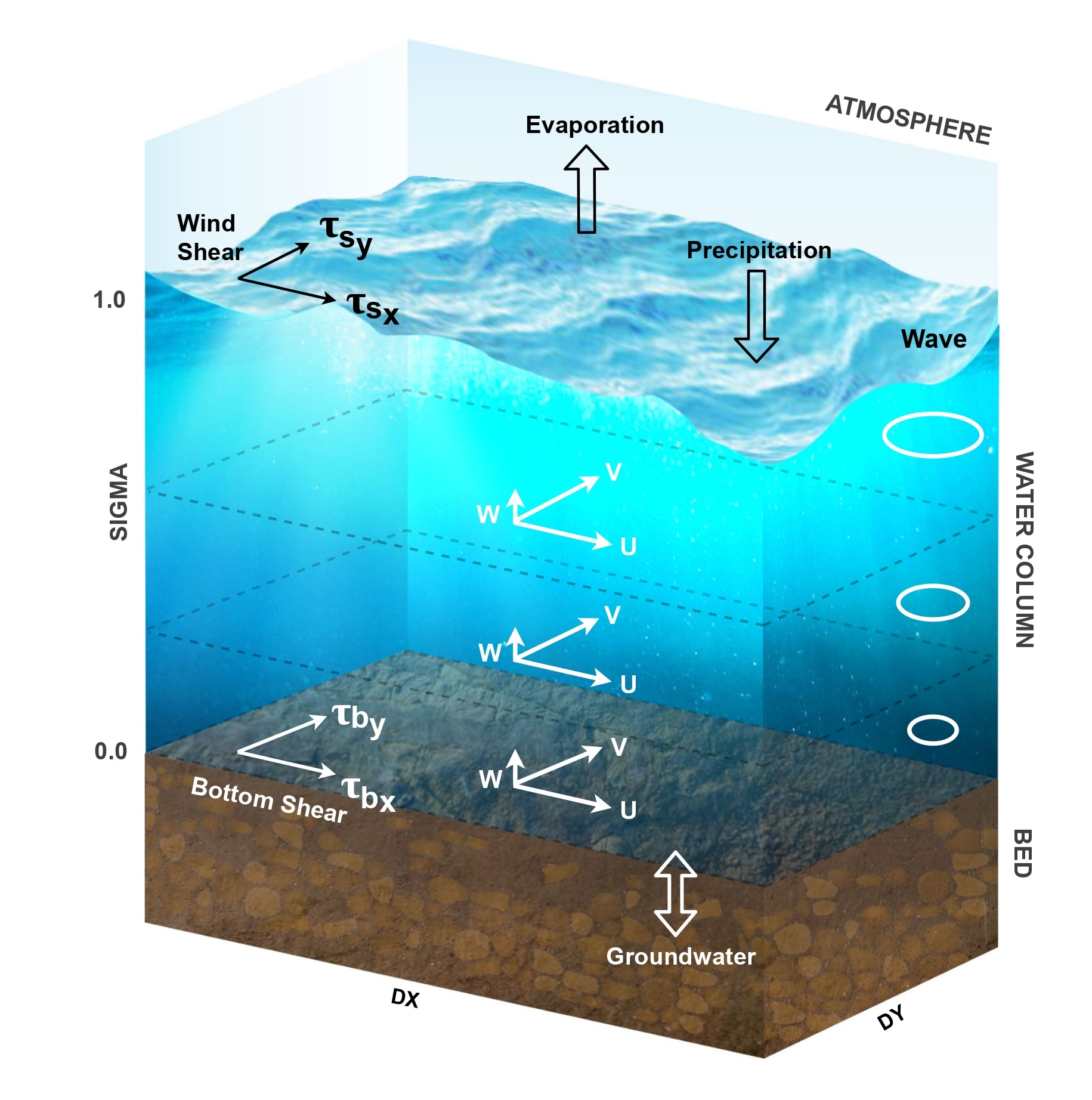 Conceptual diagram of the EFDC+ water column showing wind shear, surface heat exchange, waves, sigma layering, three-dimensional velocity components, bottom shear, and groundwater exchange.