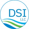 DSI Logo