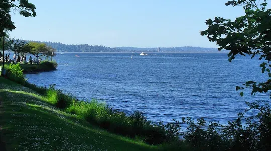 Lake Washington Real-time Model